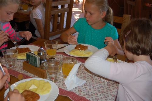 Obrázek v galerii